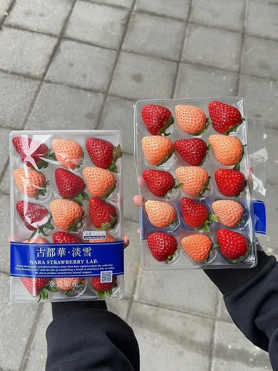 日本 奈良縣雙色草莓(古都華+淡雪)