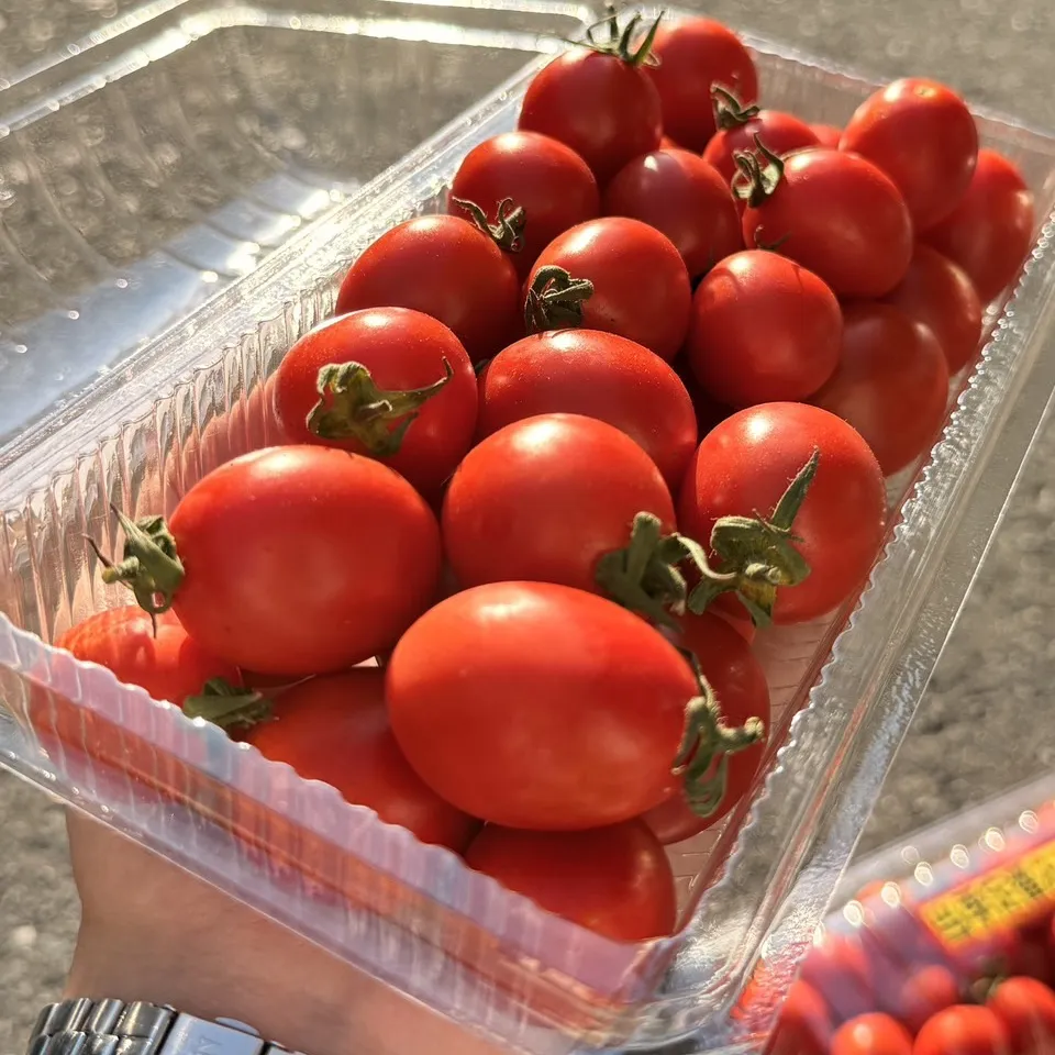 台灣薄皮玉女小番茄