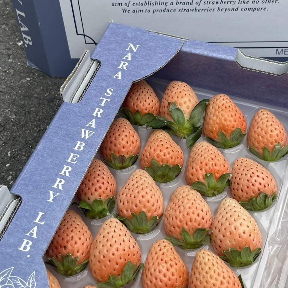 日本奈良縣淡雪草莓