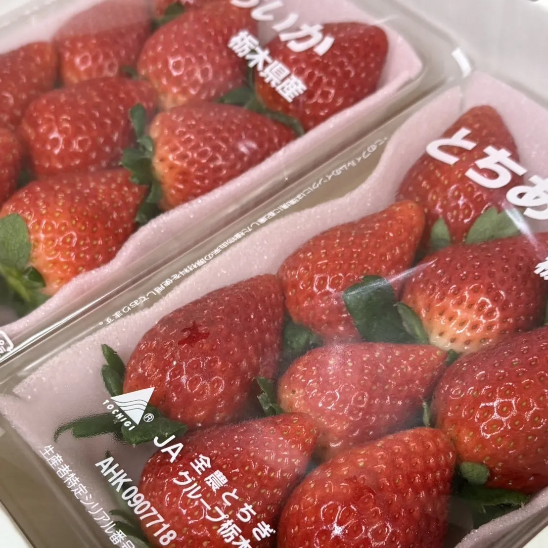 日本栃木縣愛香草莓