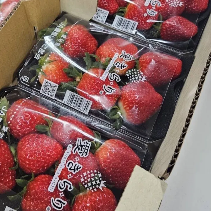 日本愛知縣 紅臉頰草莓/家庭號