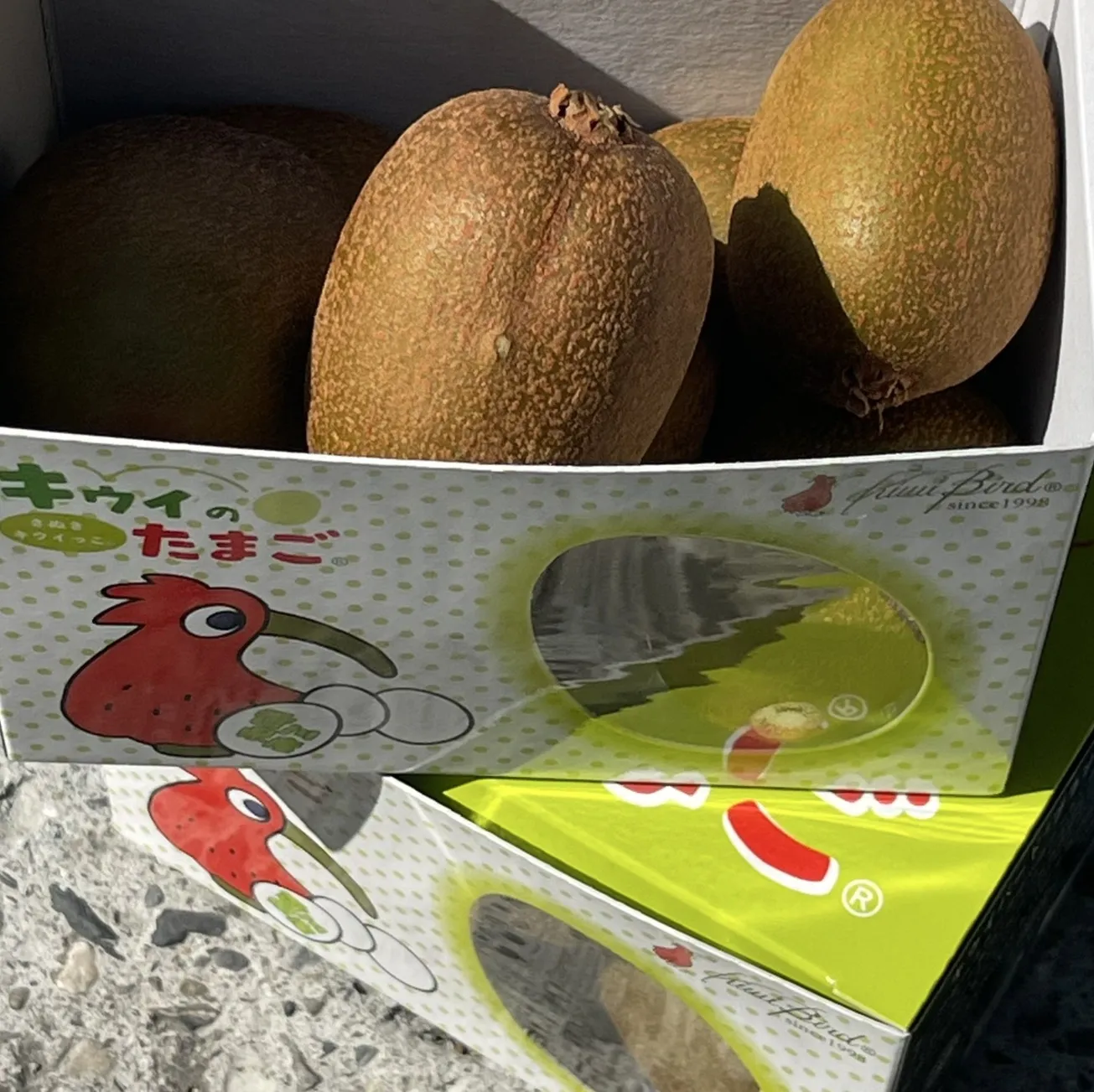 日本香川縣 綠肉奇異果