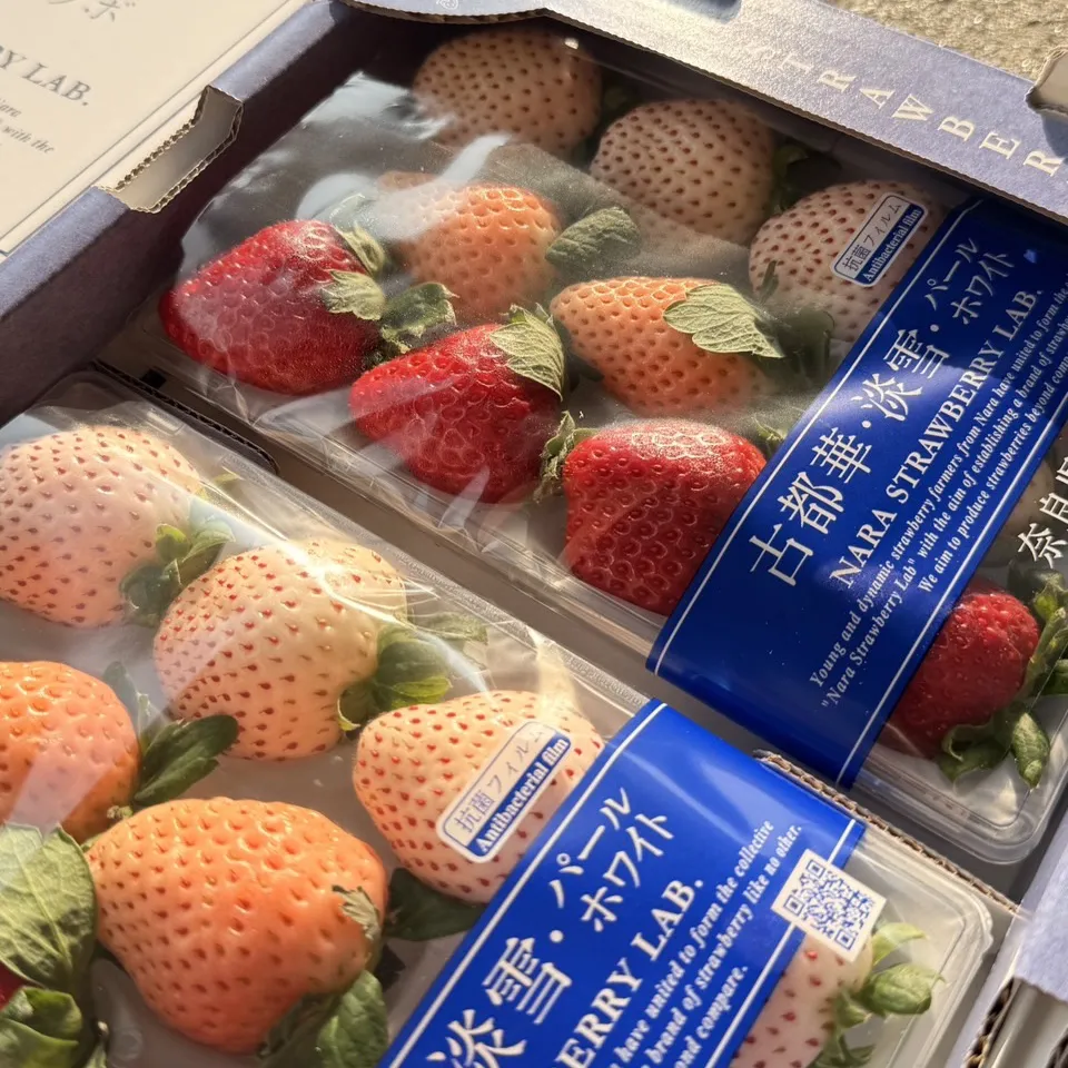 日本 奈良縣三色草莓(古都華+淡雪+白珍珠)