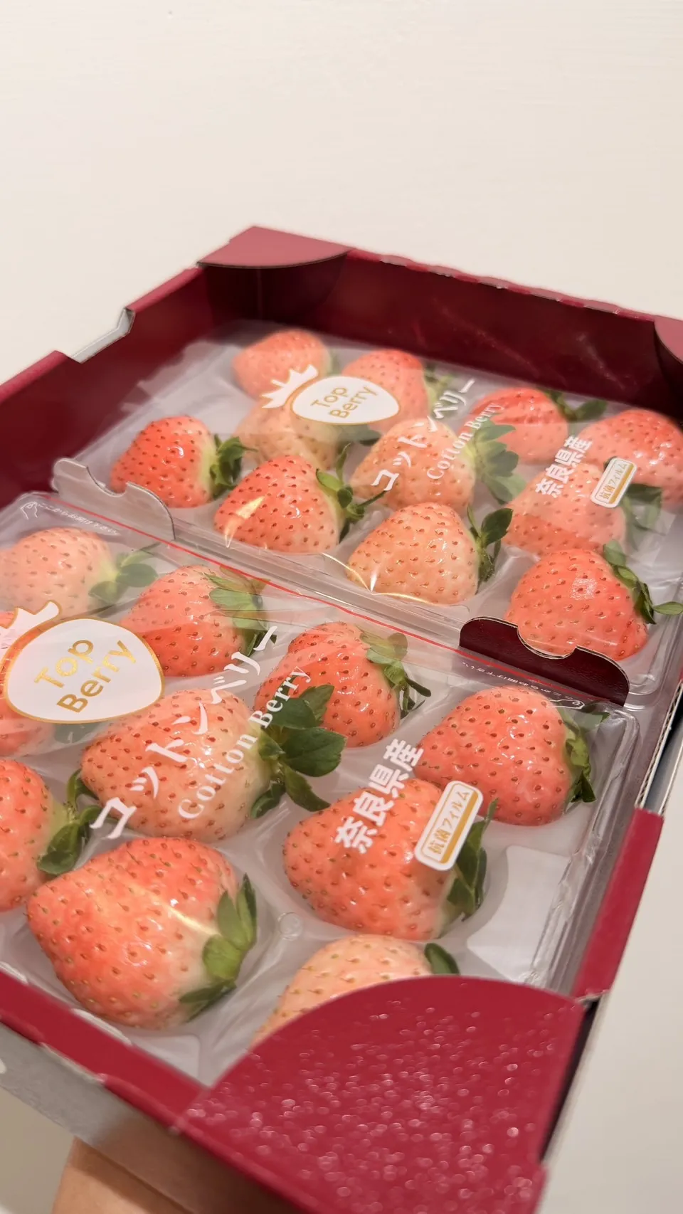 日本 奈良縣棉花糖草莓