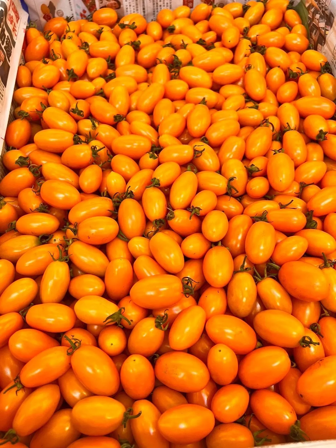 超好吃美濃產 金螢/玉女小蕃茄