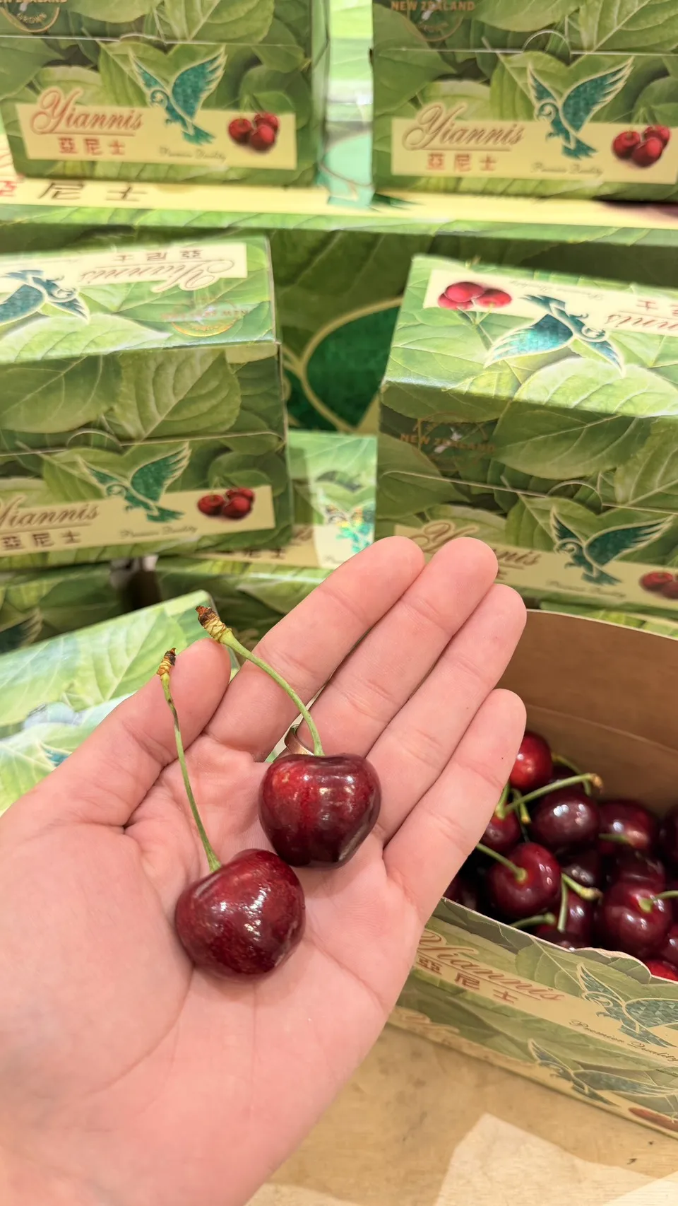 紐西蘭亞尼士45°櫻桃