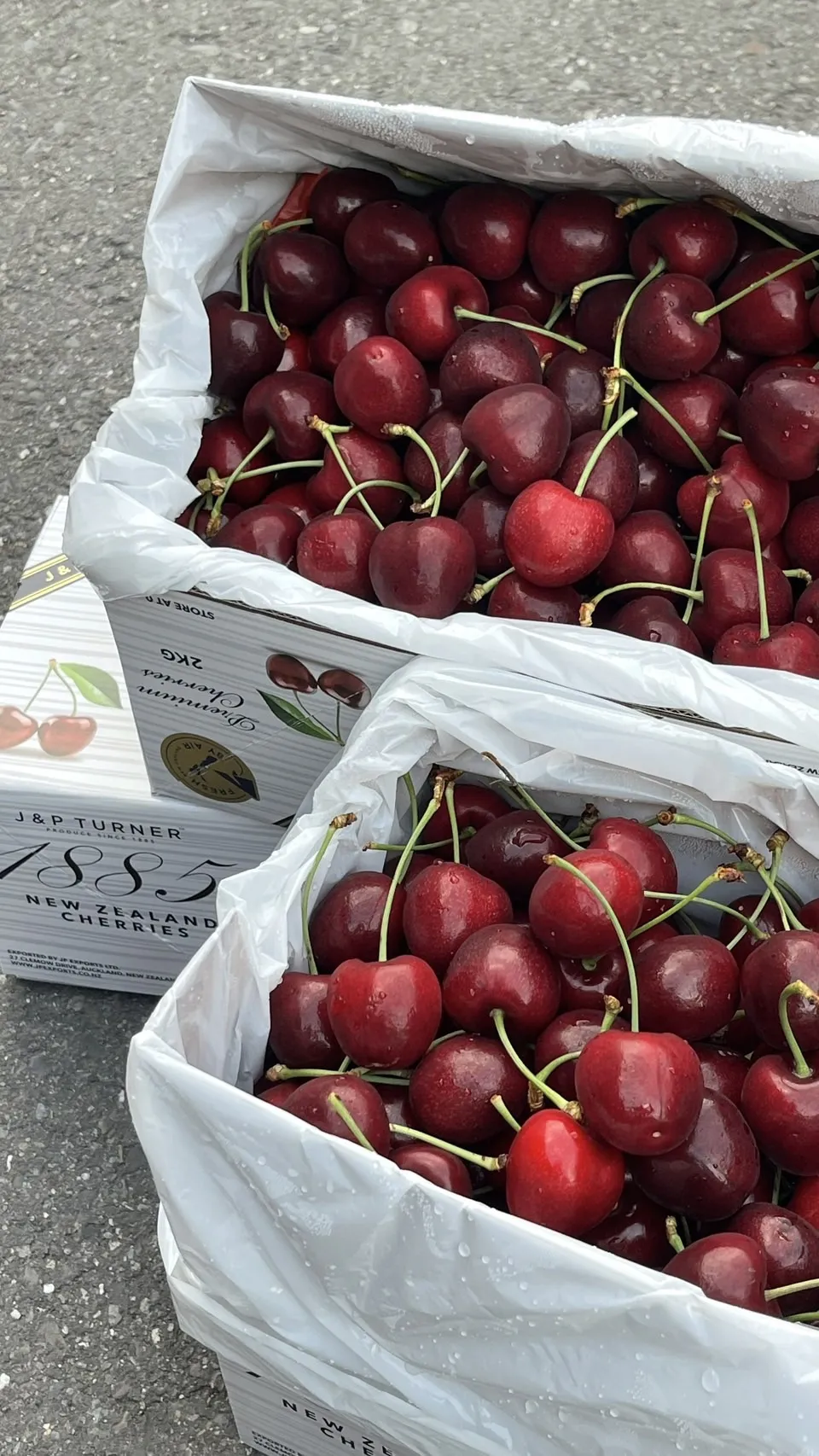 紐西蘭 1885空運櫻桃