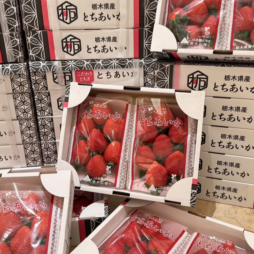 日本栃木縣愛香草莓