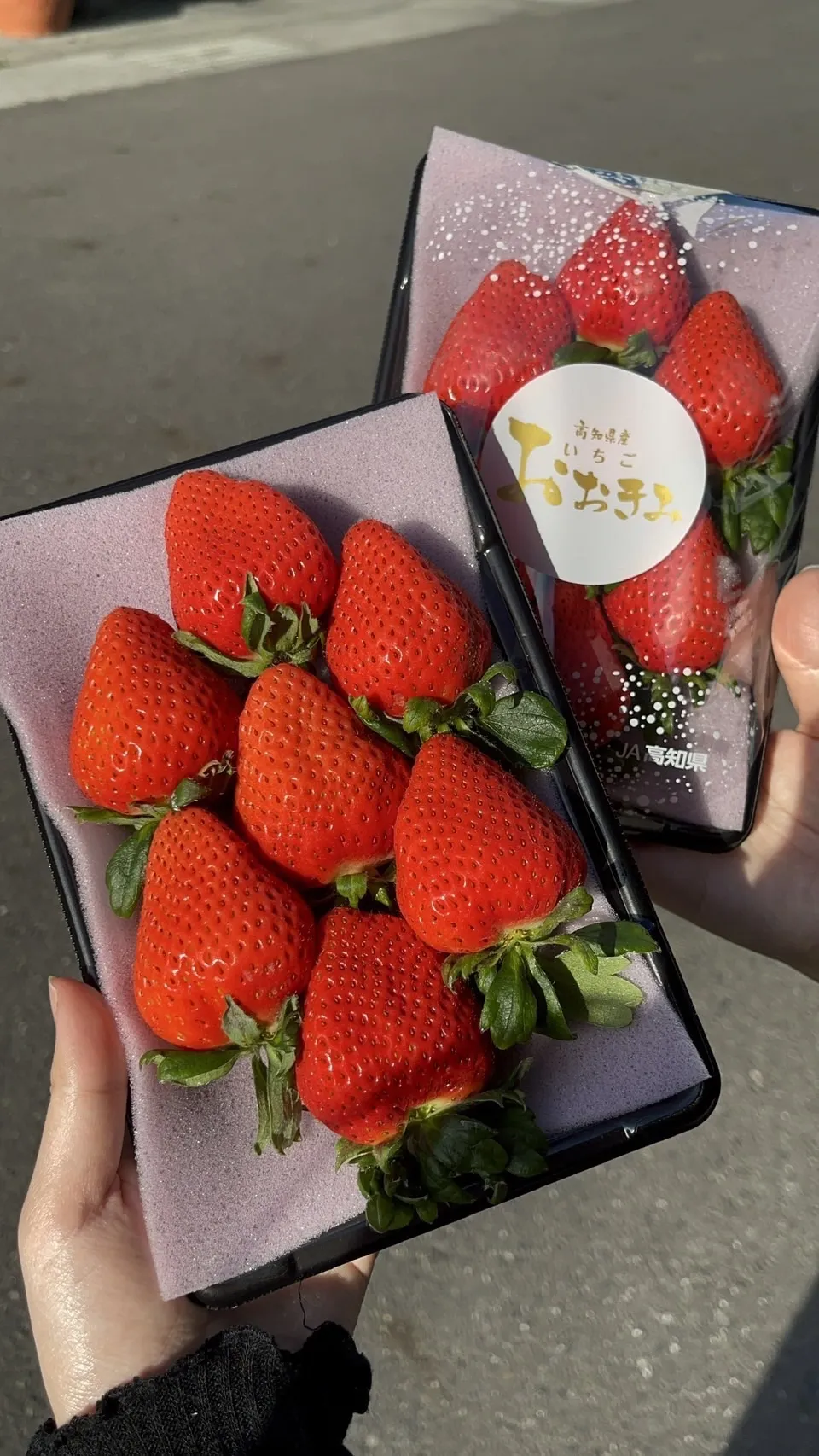 高知縣 大妃美草莓