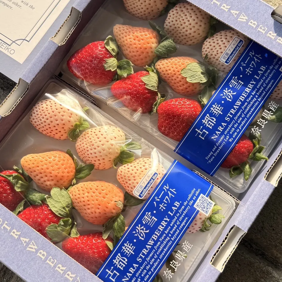 日本 奈良縣三色草莓(古都華+淡雪+白珍珠)
