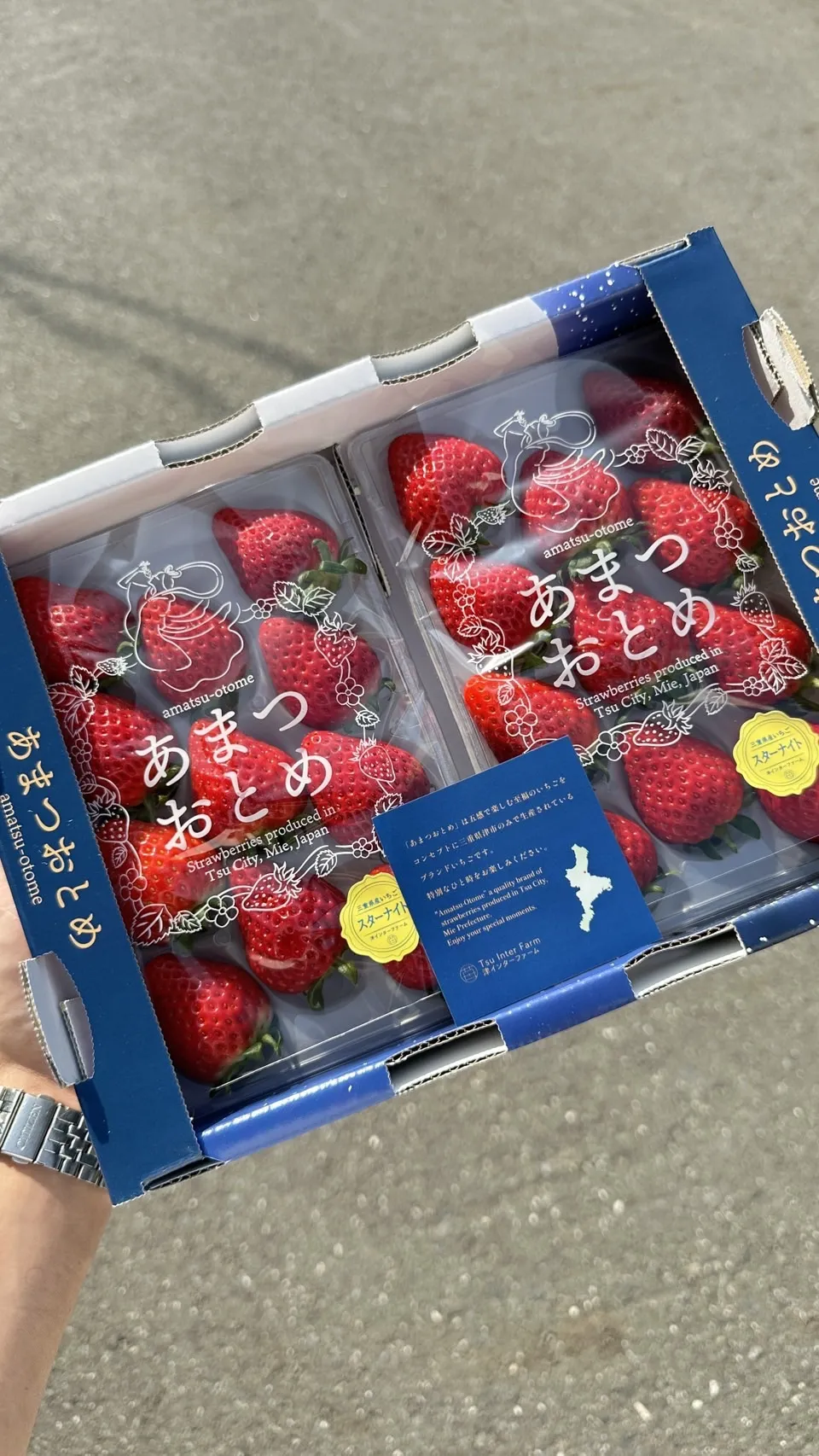 日本三重縣 四星草莓