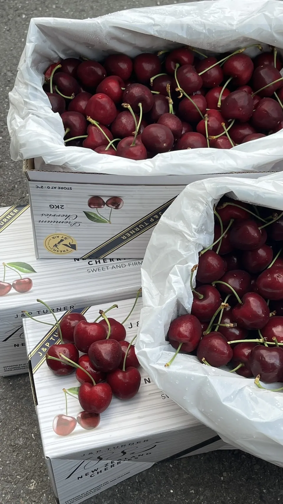 紐西蘭 1885空運櫻桃