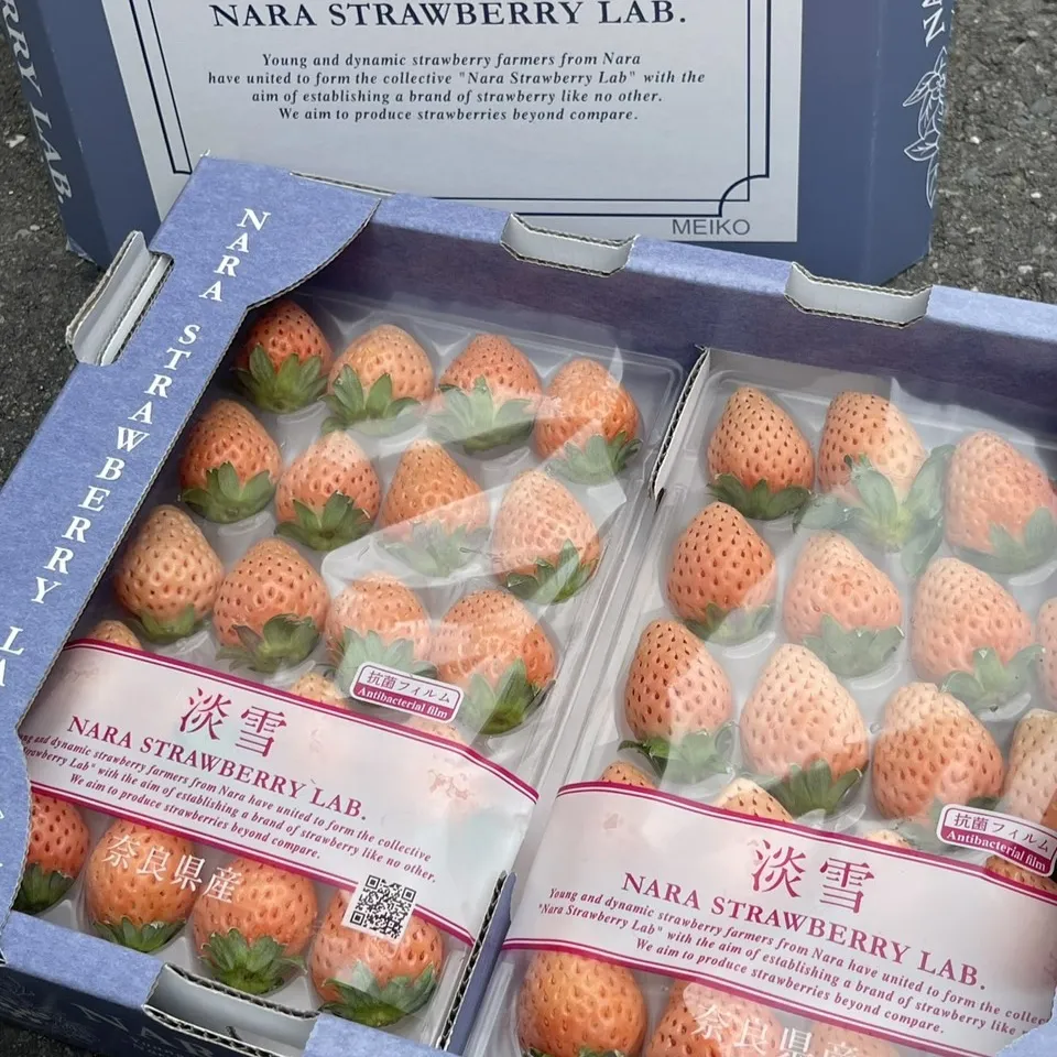 日本奈良縣淡雪草莓