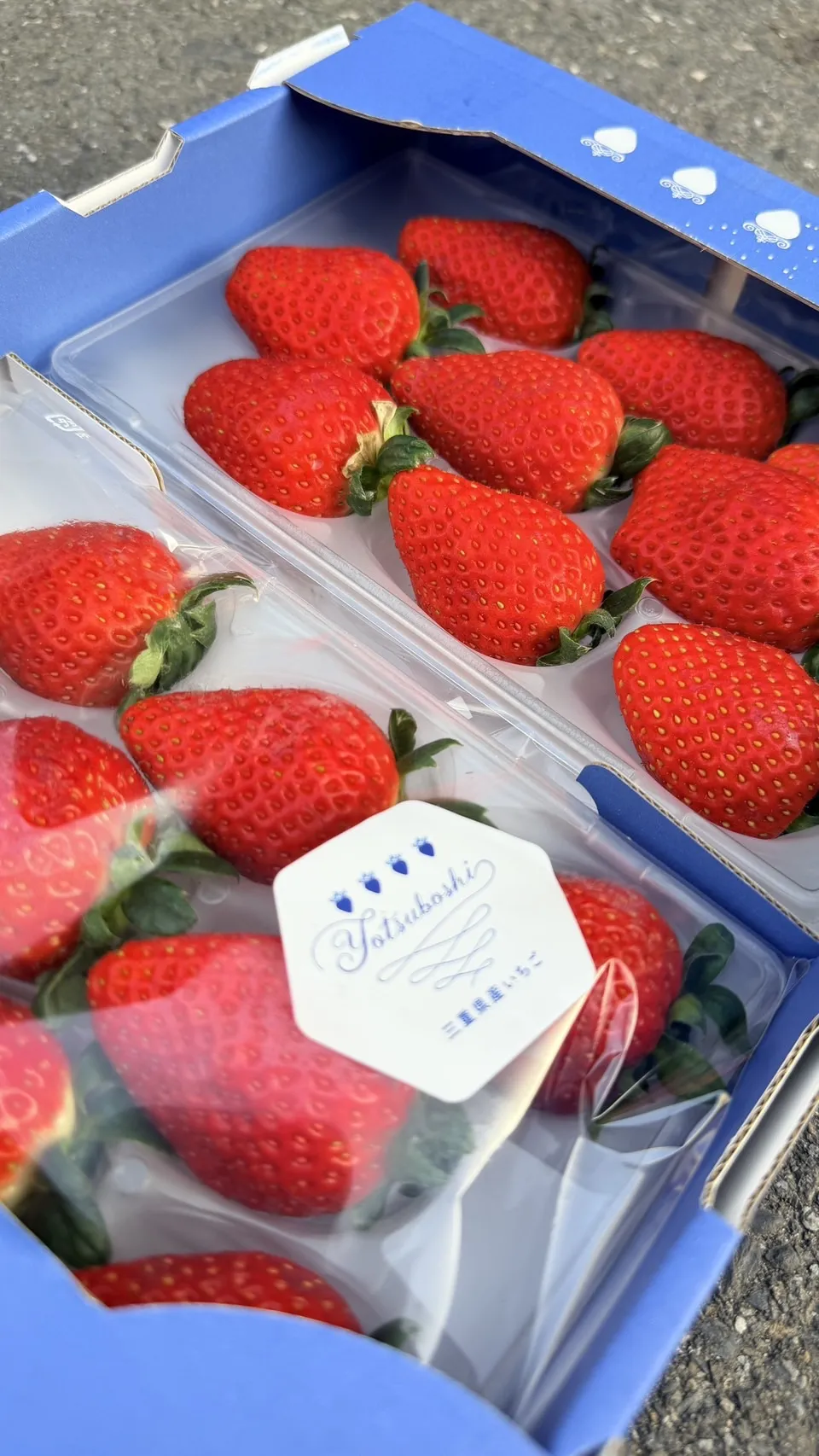 日本三重縣 四星草莓