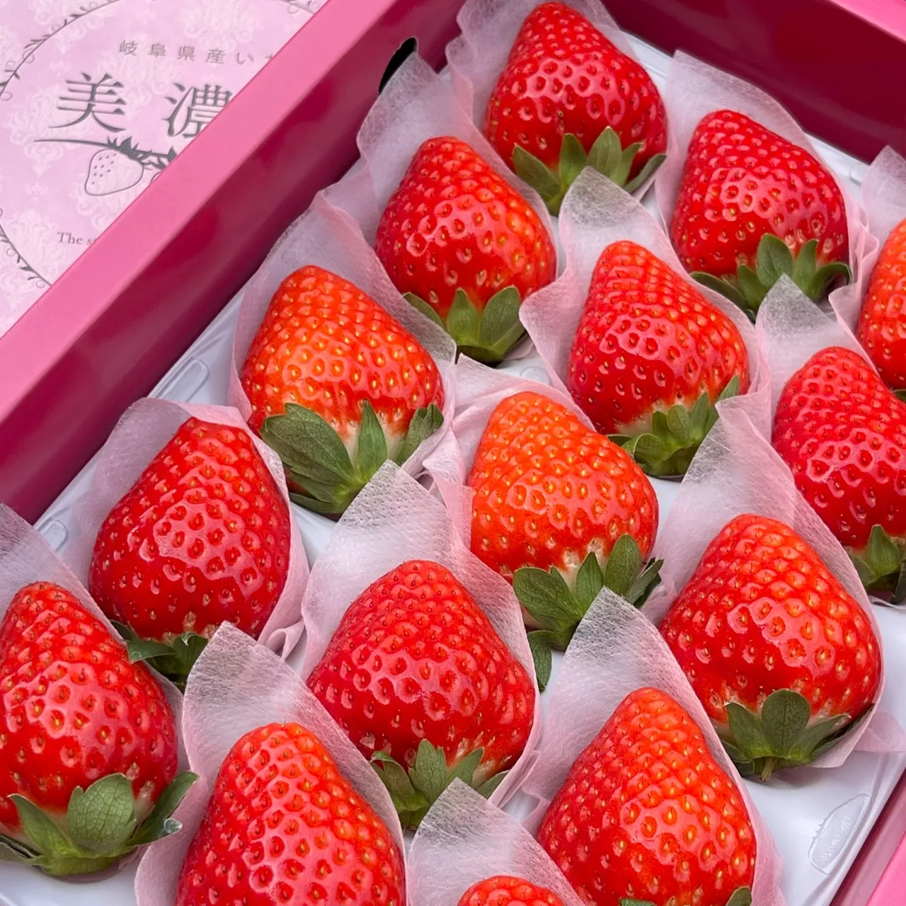 岐阜縣 美濃娘草莓禮盒