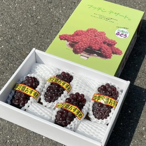 山梨縣珍珠葡萄禮盒