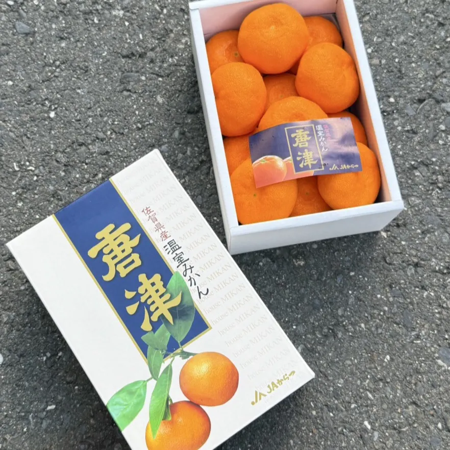 日本佐賀縣 唐津蜜柑禮盒
