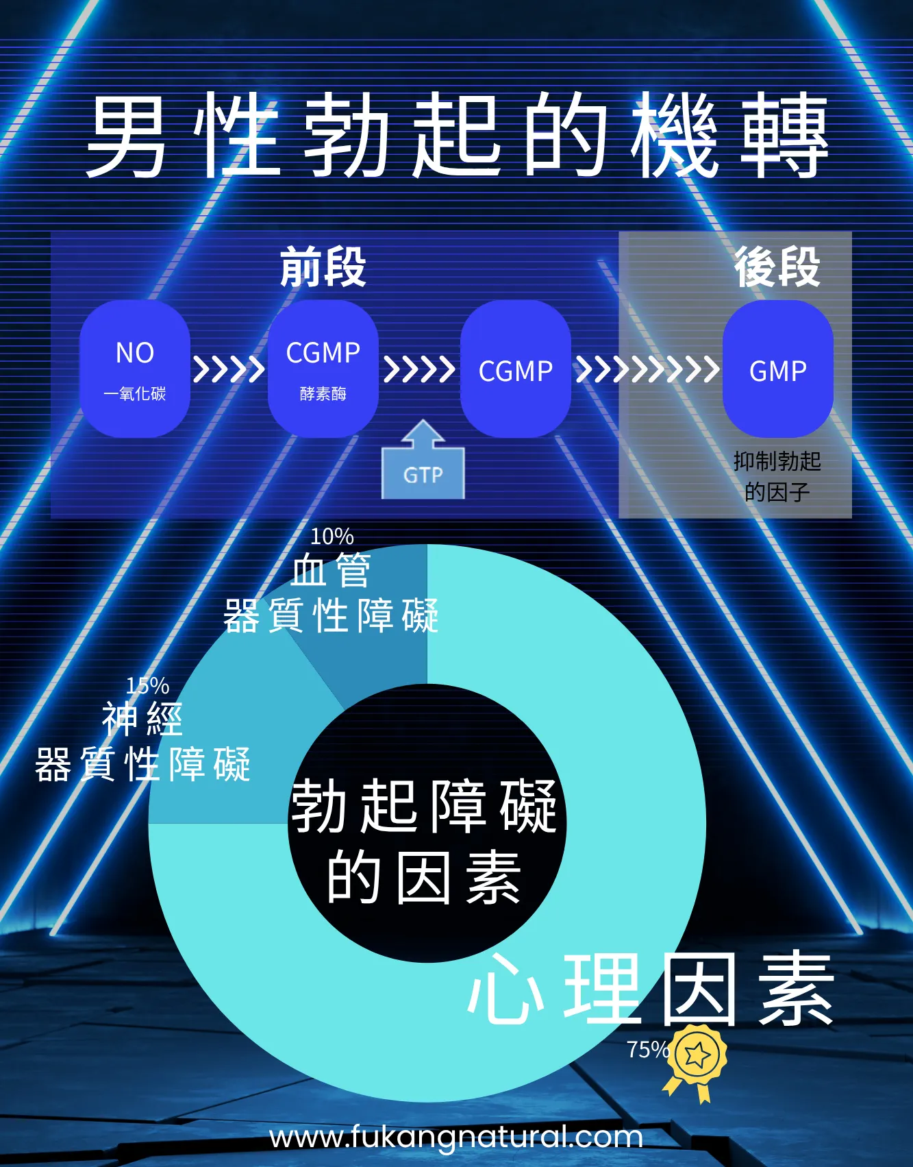 男性勃起的機轉-男性保健品推薦/台中男性保健品推薦