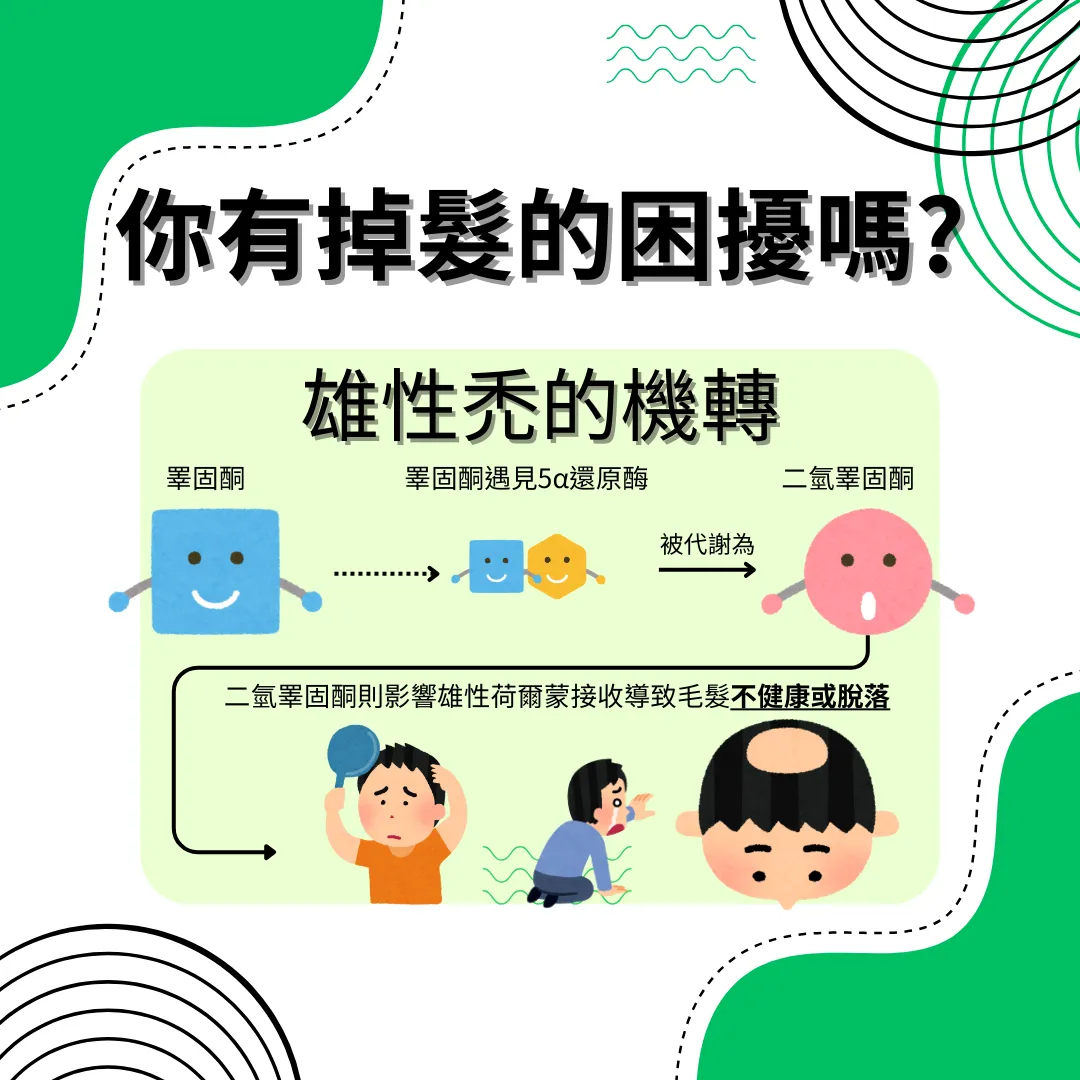 髮量多的人，帥氣有風；髮量少的人，一吹風就見頭皮？頭髮保健食品推薦/台中頭髮保健食品推薦
