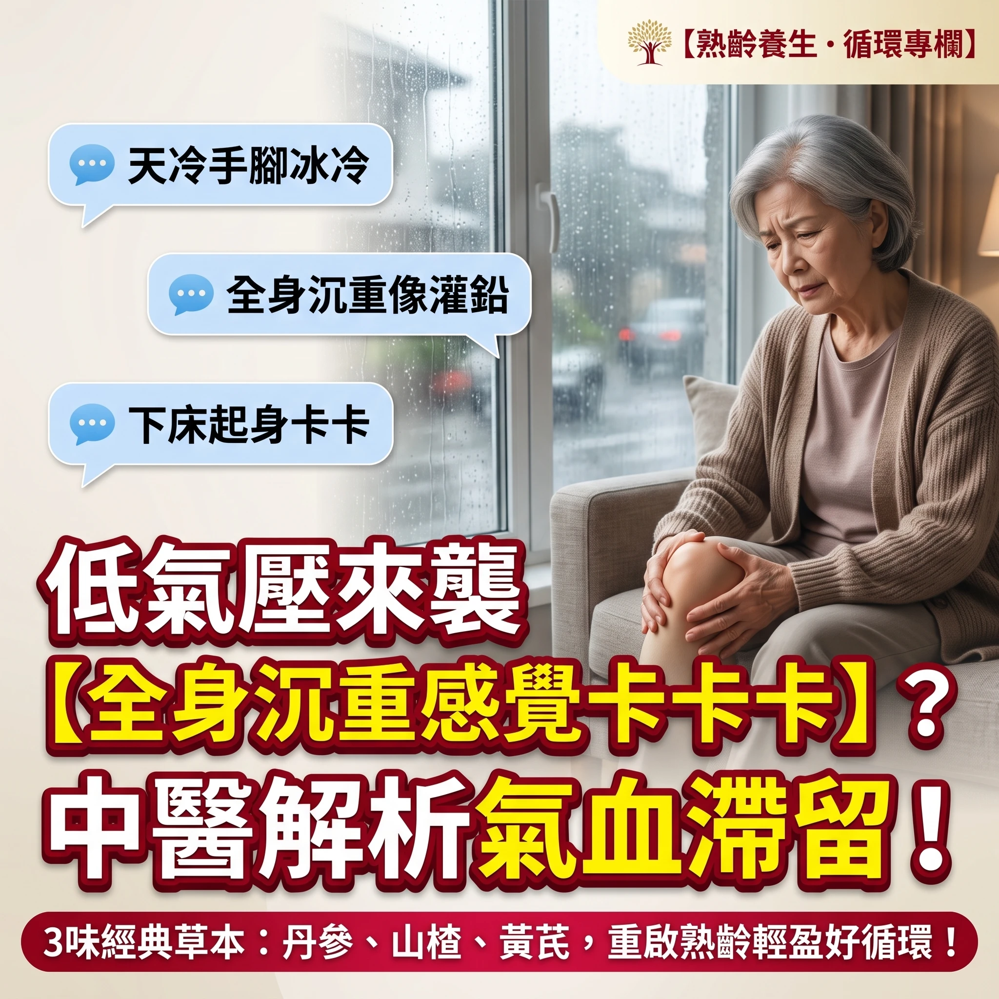颱風低壓來襲全身沉重又卡關？中醫解析換季氣血循環滯留，3味經典草本找回輕盈活力！