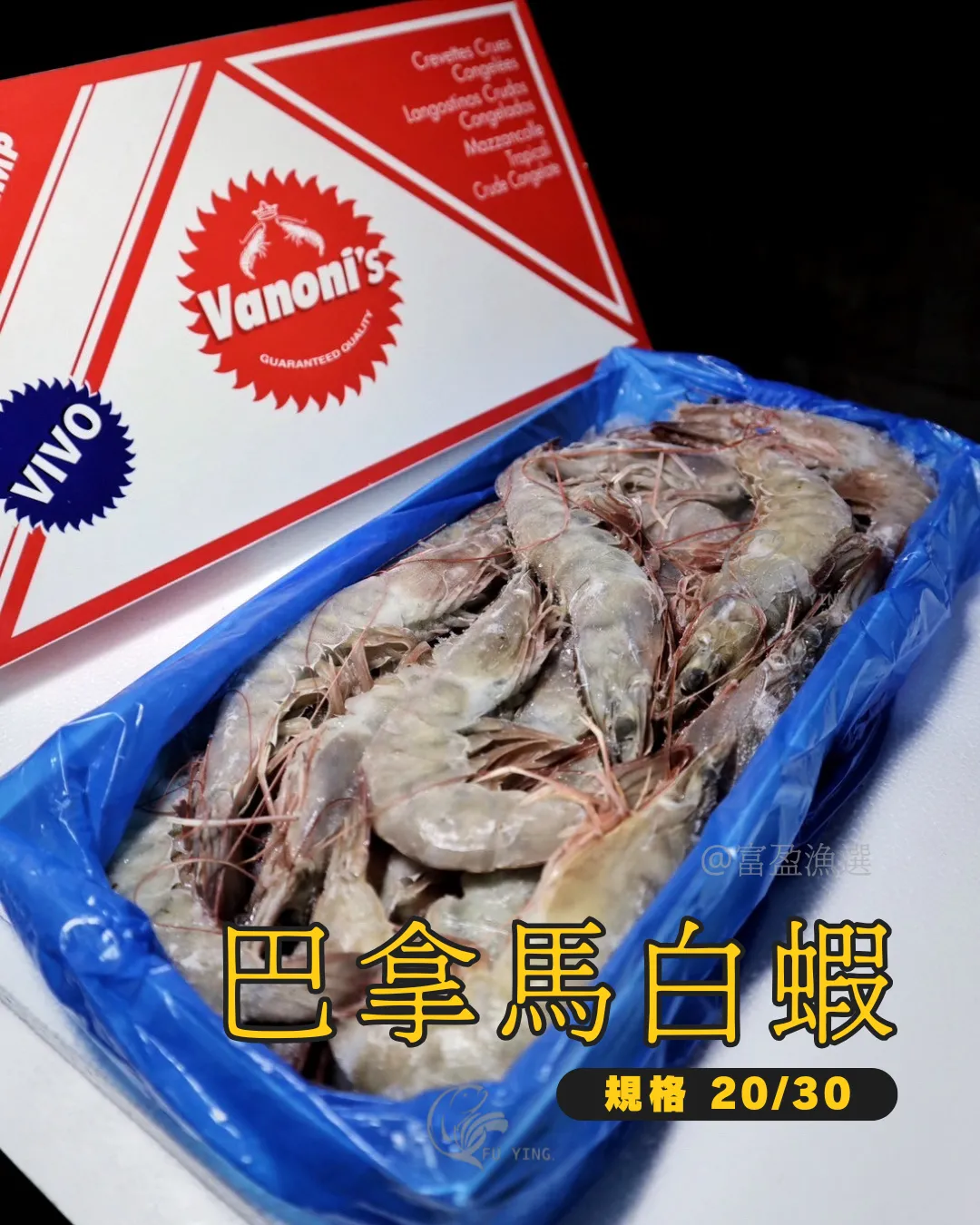生凍白蝦 20/30