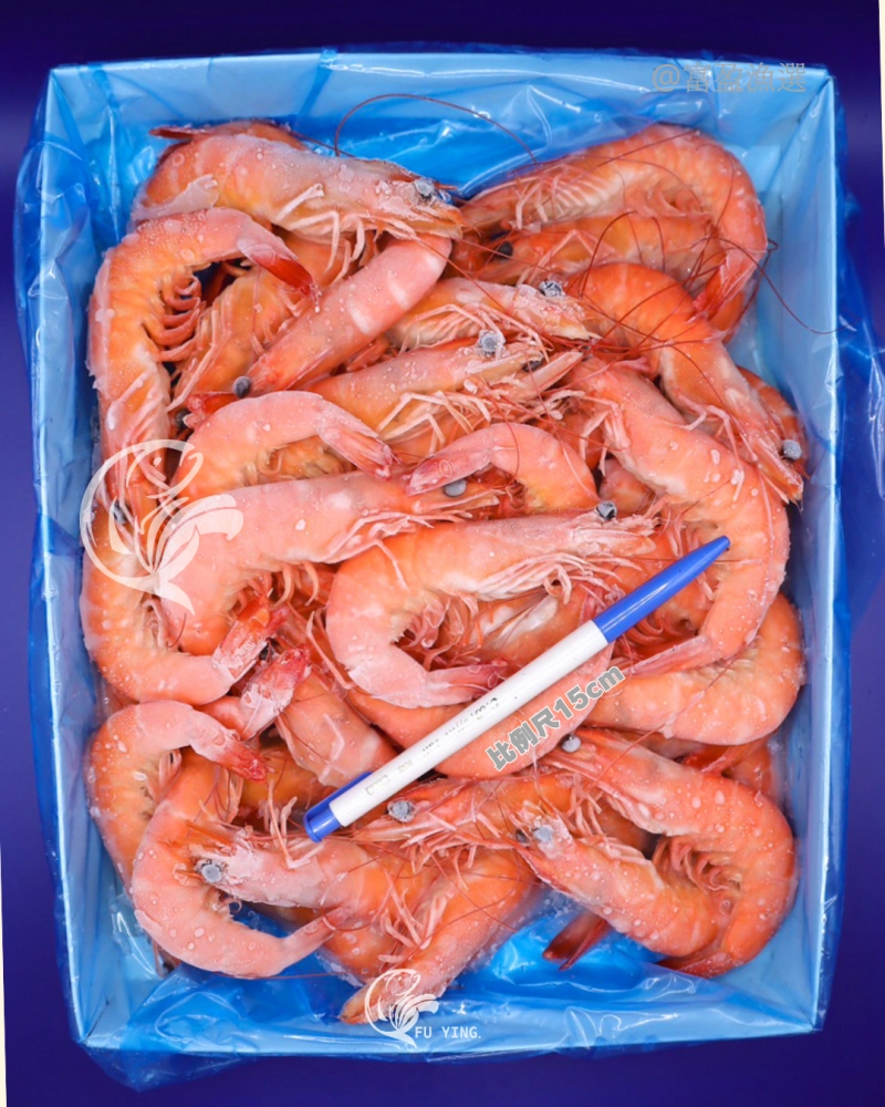 熟白蝦26/30