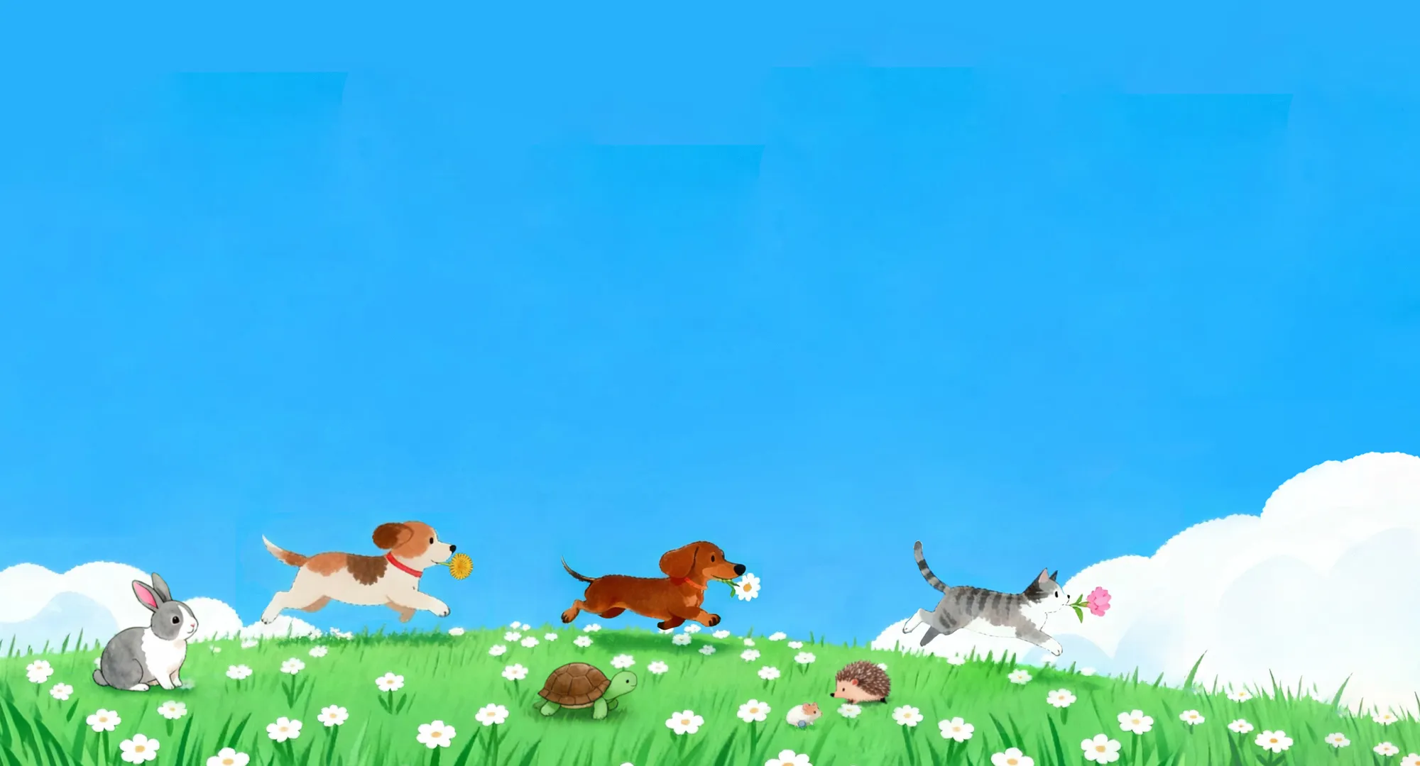 富予生命-寵物生命禮儀,台中寵物生命禮儀,西區寵物生命禮儀