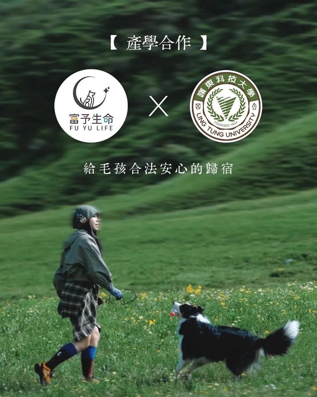 【富予生命 ✕ 嶺東科大：給毛孩合法安心的歸宿】