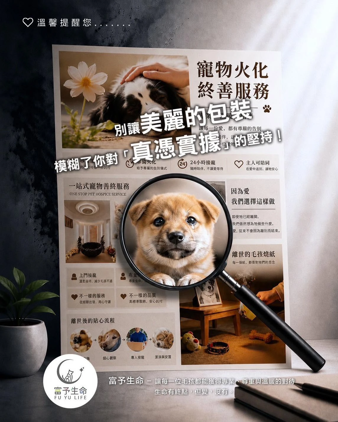別讓美麗的包裝，模糊了你對「真憑實據」的堅持！