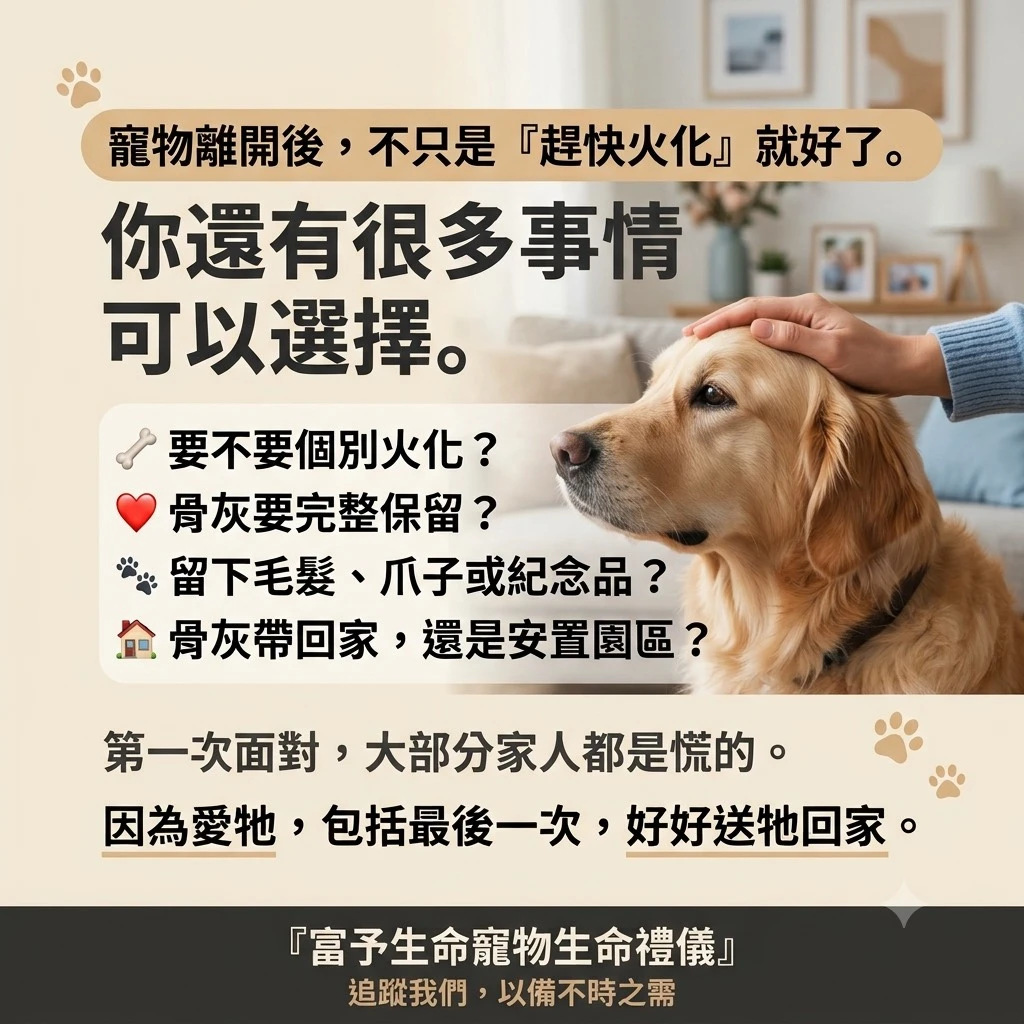 寵物過世後怎麼辦？寵物火化、寵物殯葬與生命禮儀完整指南｜台中毛孩家長必看