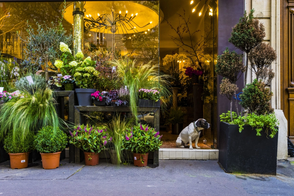 小空間綠化工程