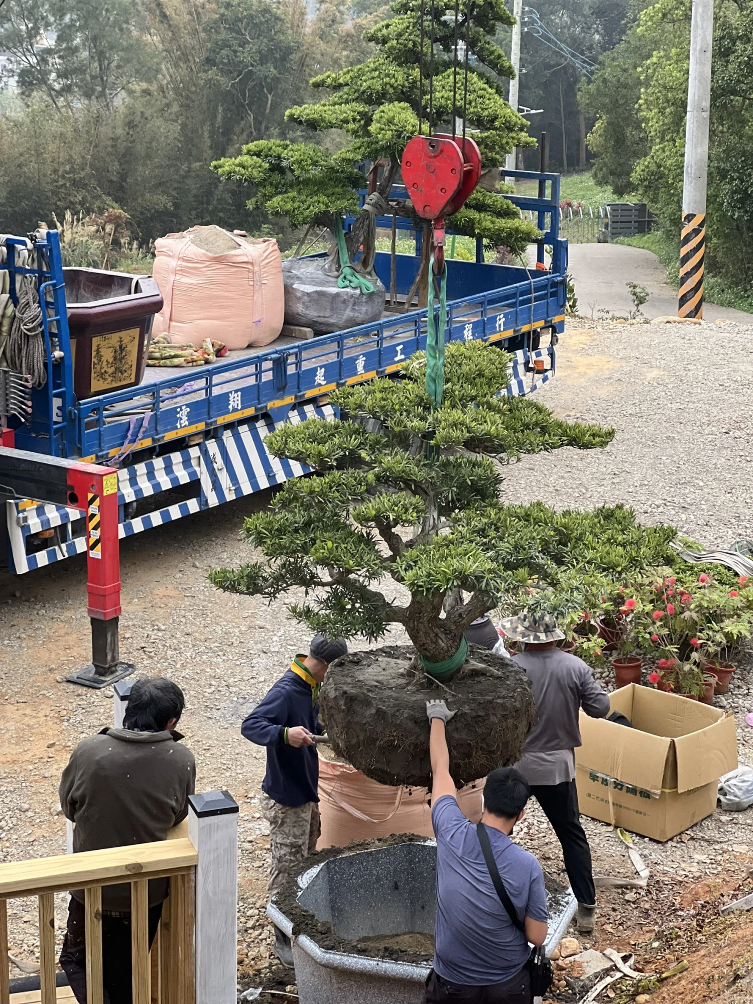 庭園整理與修護