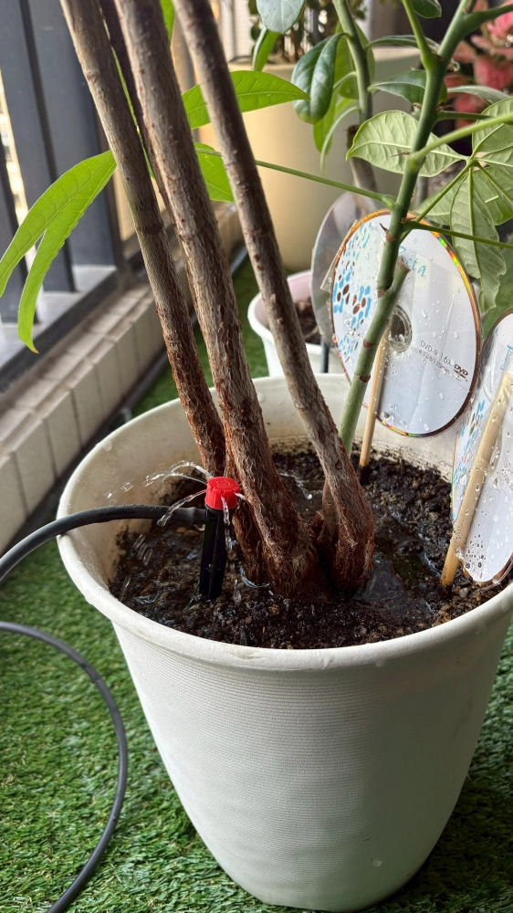 自動噴灌灑水系統