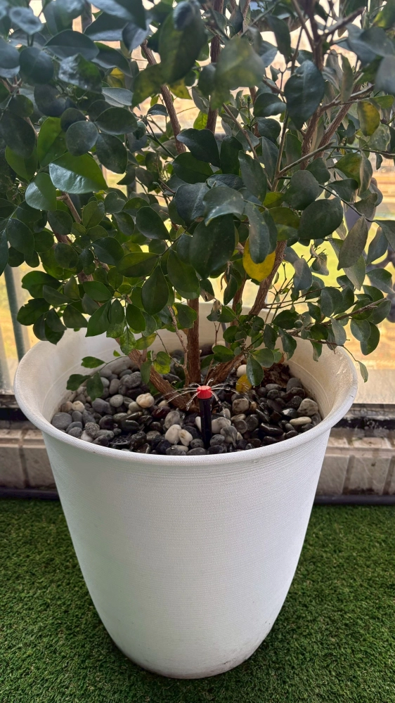 自動噴灌灑水系統