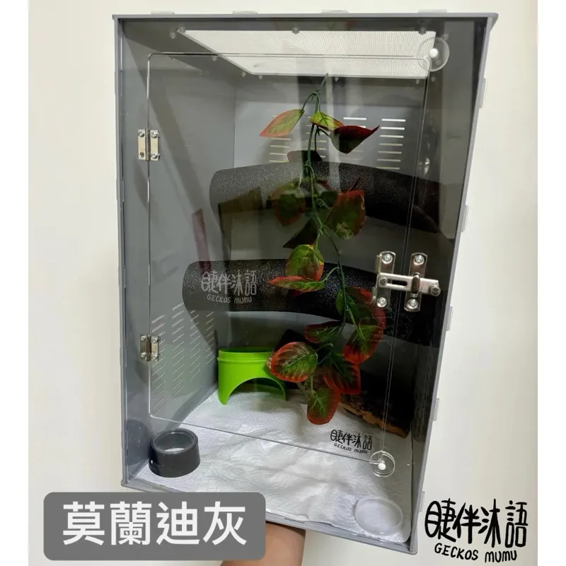 【睫伴沐語】透明樹棲 守宮 睫角 蜘蛛 蜥蜴 變色龍 飼養盒 爬蟲盒 爬缸 壓克力 透明飼養箱 飼養