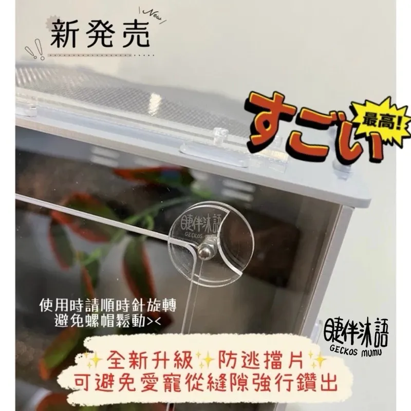 【睫伴沐語】透明樹棲 守宮 睫角 蜘蛛 蜥蜴 變色龍 飼養盒 爬蟲盒 爬缸 壓克力 透明飼養箱 飼養
