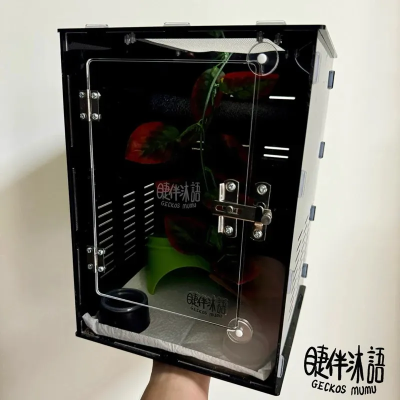 【睫伴沐語】透明樹棲 守宮 睫角 蜘蛛 蜥蜴 變色龍 飼養盒 爬蟲盒 爬缸 壓克力 透明飼養箱 飼養