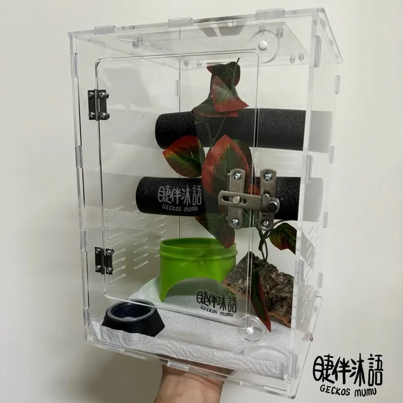 【睫伴沐語】透明樹棲 守宮 睫角 蜘蛛 蜥蜴 變色龍 飼養盒 爬蟲盒 爬缸 壓克力 透明飼養箱 飼養