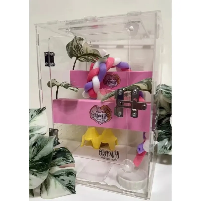 【睫伴沐語】透明樹棲 守宮 睫角 蜘蛛 蜥蜴 變色龍 飼養盒 爬蟲盒 爬缸 壓克力 透明飼養箱 飼養
