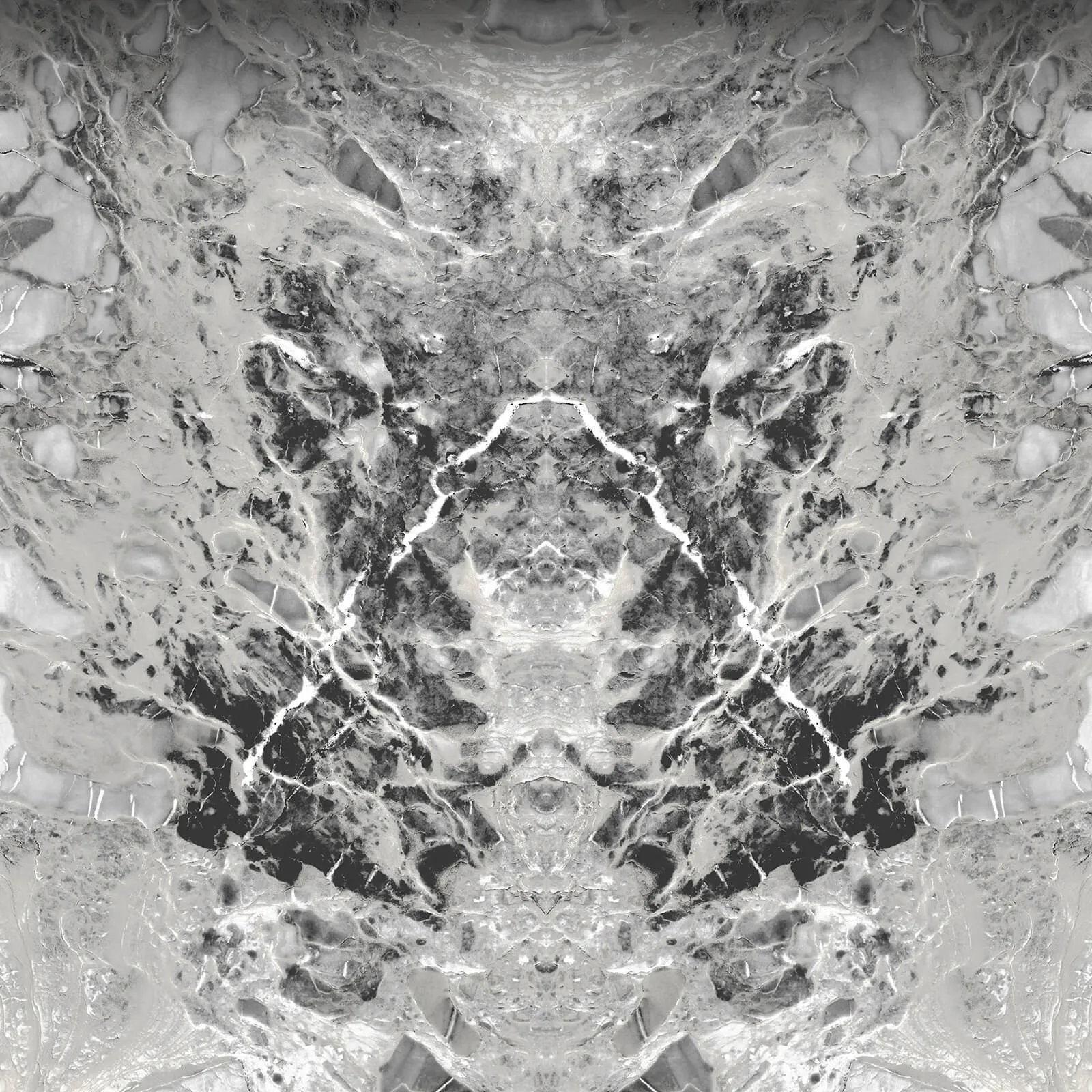 Philipp Plein Z80067