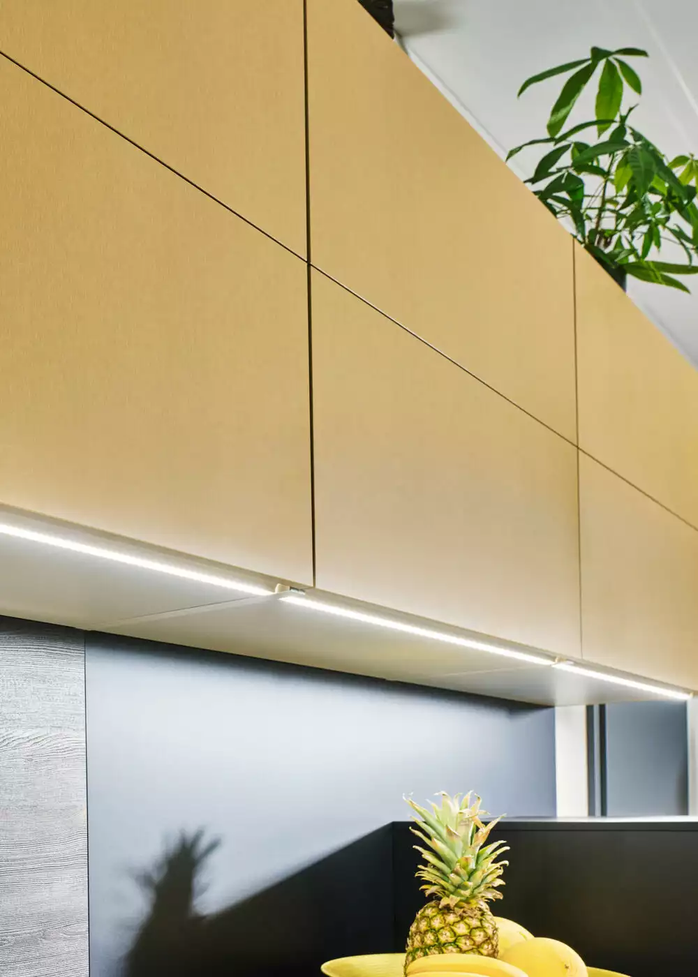 【曜金之境】| 適用:黑森/薩克斯