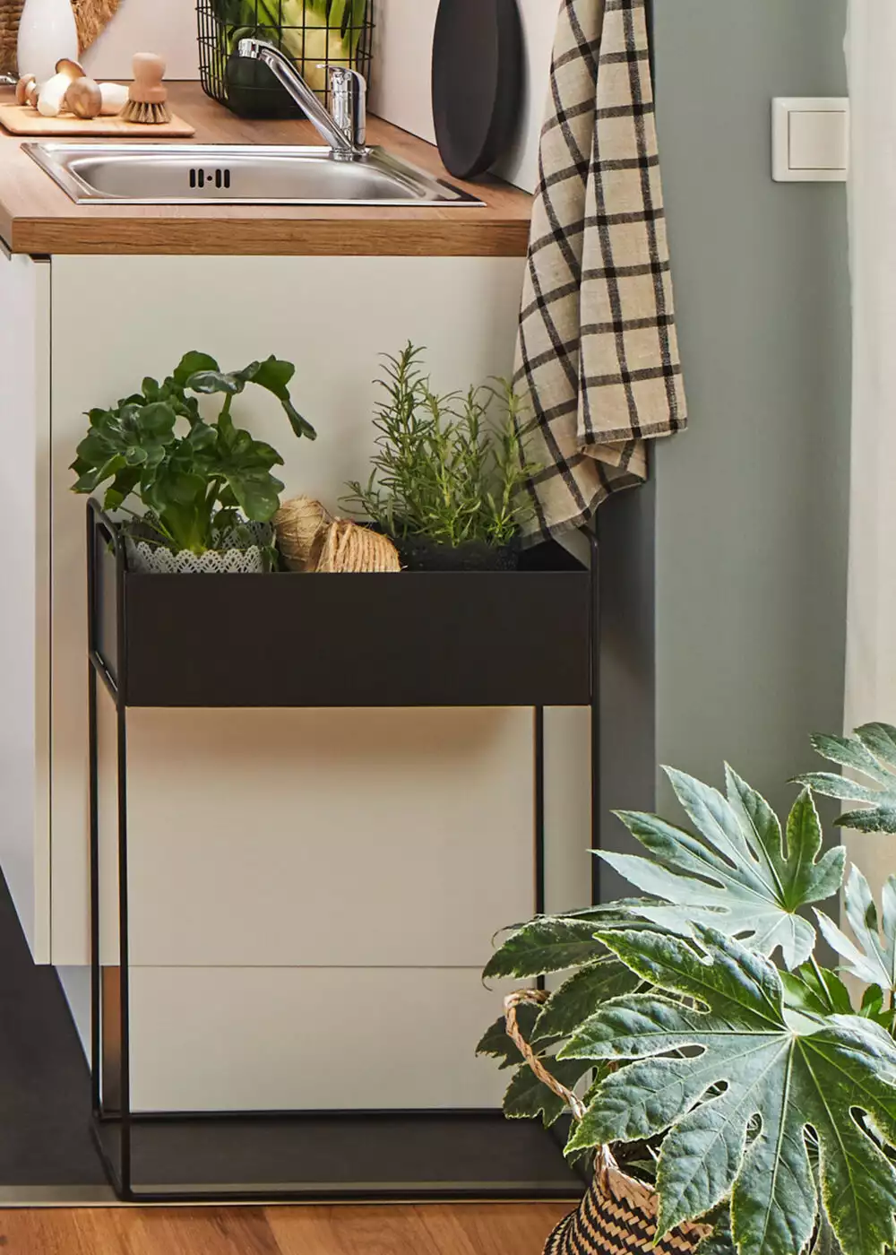 【植感微光】| 適用:柏林