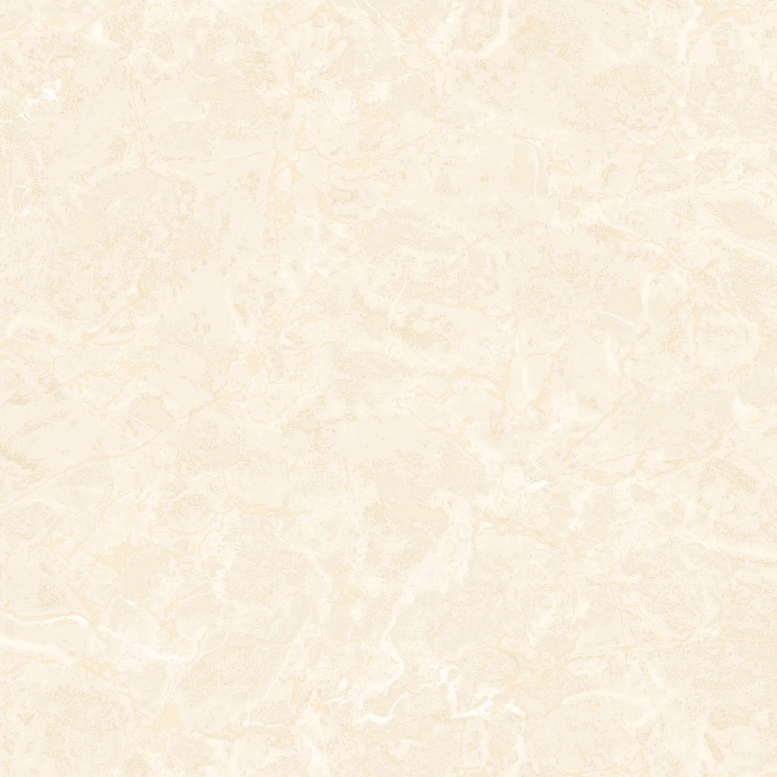 Philipp Plein Z81013