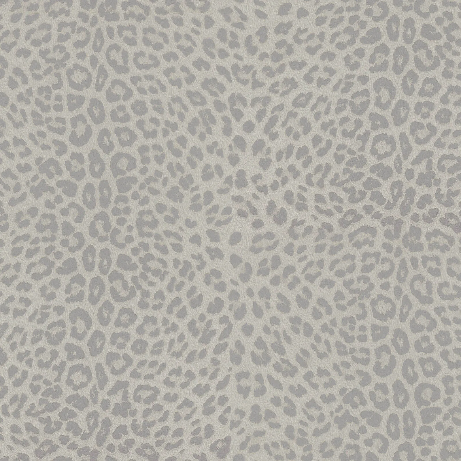 Philipp Plein Z80038