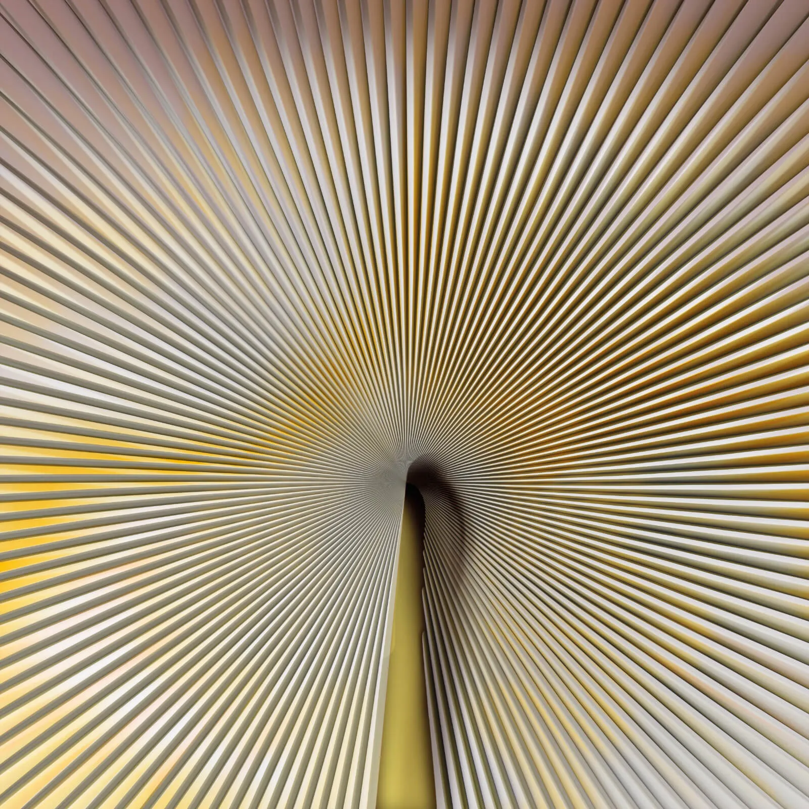 Trussardi Casa 7 Z18989