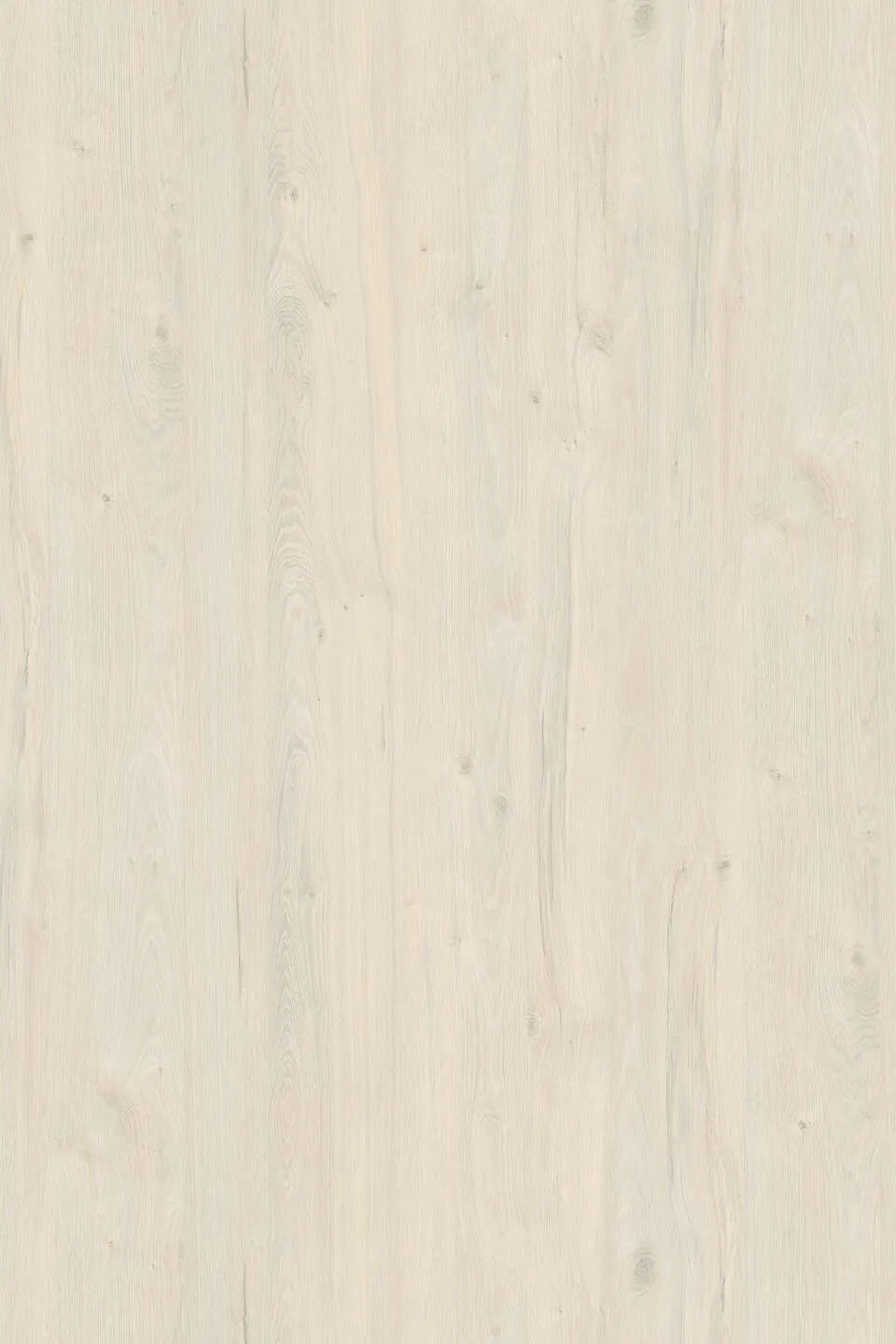 K080 White Coastland Oak