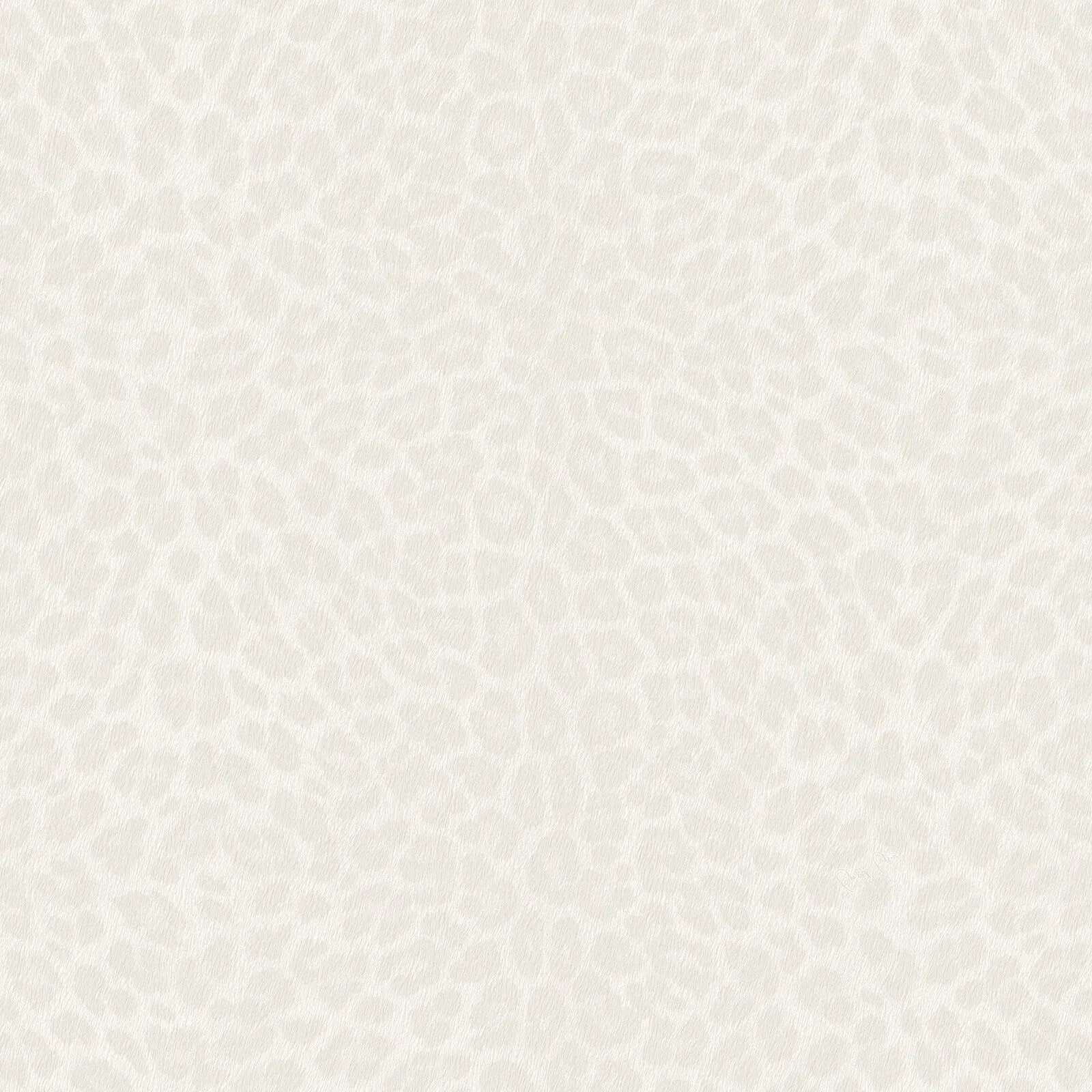 Philipp Plein Z81030