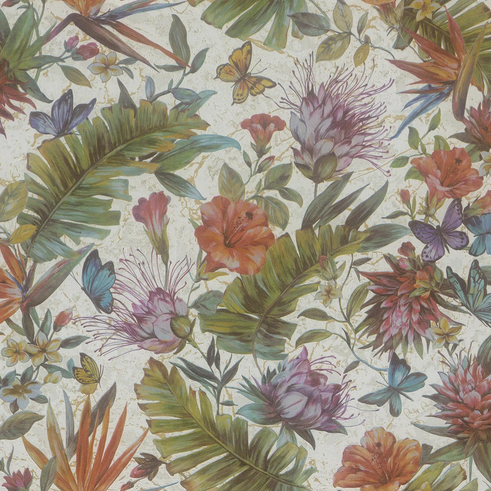 Philipp Plein Z80011