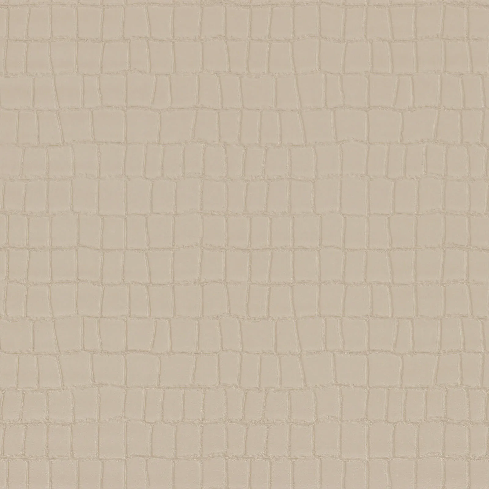 Philipp Plein Z80029