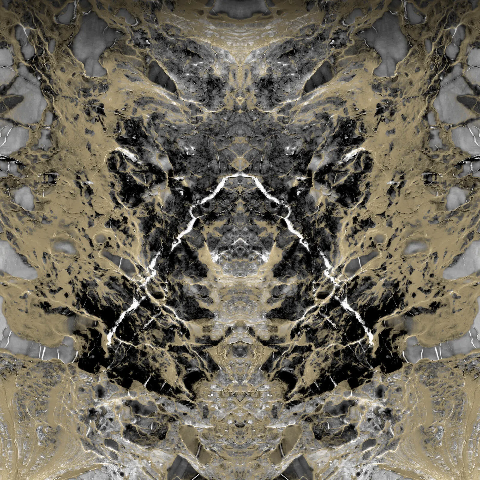 Philipp Plein Z80067